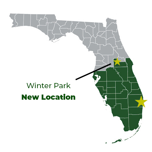 winter park benson rugs winter park benson rugs